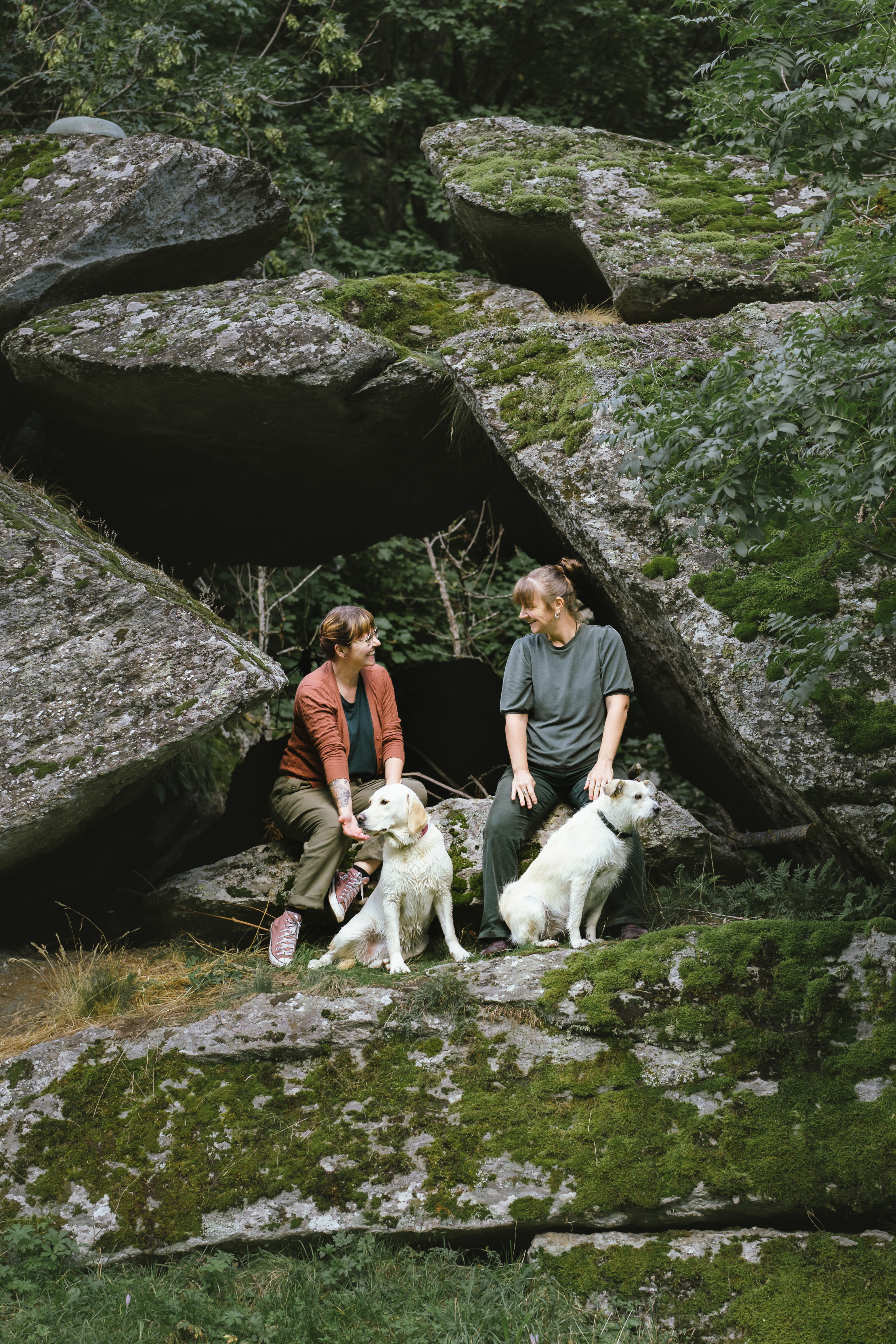 Angebot mit Hunden in der Natur